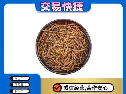 黔东南从江县高价回收散虫草